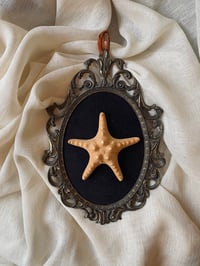 Image 1 of Création unique : cadre avec étoile de mer