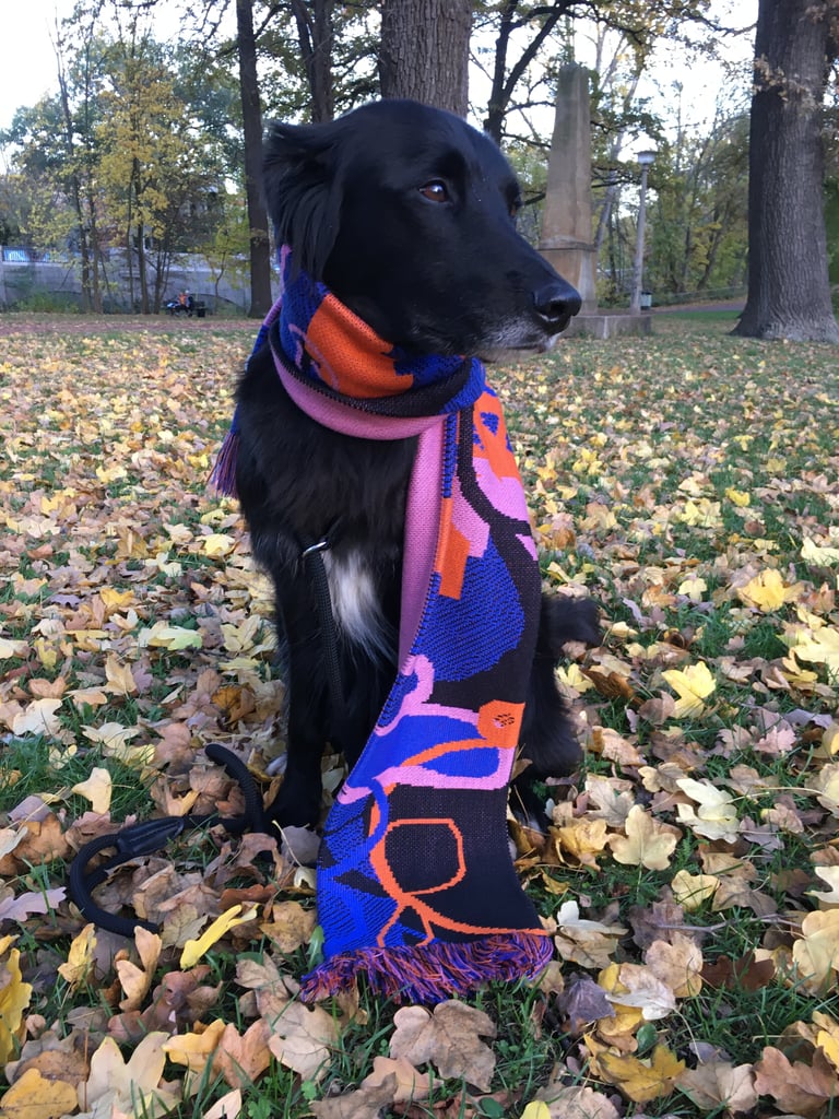 Scarf 
