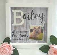 Image 9 of Personalised Pet Loss Frame, Pet Memorial Frame, Pet Loss Gift, LED Pet loss frame