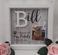 Image 16 of Personalised Pet Loss Frame, Pet Memorial Frame, Pet Loss Gift, LED Pet loss frame