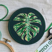 Image 1 of Monstera Leaf Botanical Embroidery Kit 