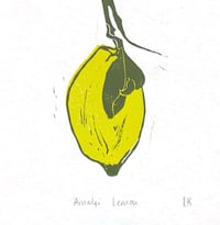 Image 1 of Amalfi Lemon - dark green