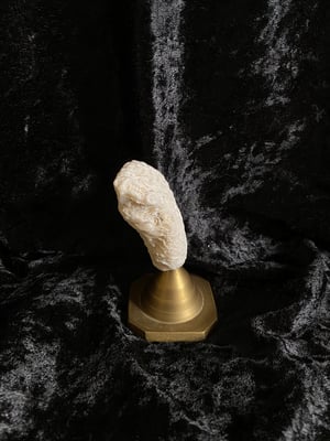 Image of Créations uniques : coraux montés sur socle (3 différents disponibles)