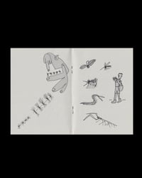 Image 3 of De esta primavera fanzine