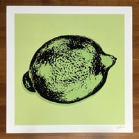 Lime 12x12" Print