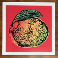 Mango 12x12" Print