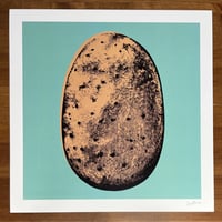 Potato 12x12" Print