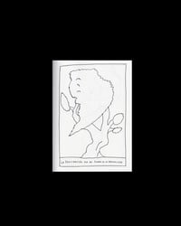 Image 1 of La fascinación por las formas de la naturaleza fanzine