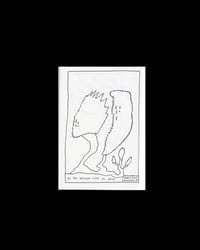 Image 3 of La fascinación por las formas de la naturaleza fanzine