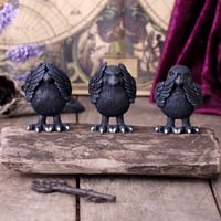 Image 3 of Three wise ravens