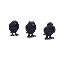Image 5 of Three wise ravens