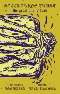 Image 2 of SACCHARINE TRUST - The Great One Is Dead / Album Companion → chapbook + 2xLP