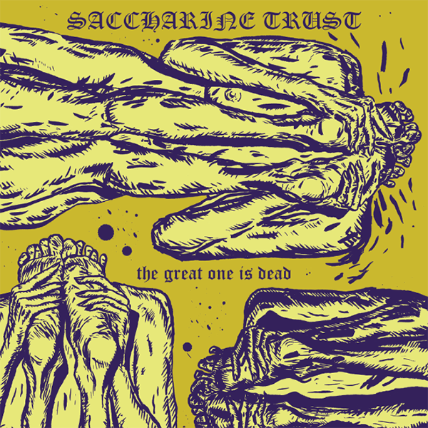 SACCHARINE TRUST - The Great One Is Dead / Album Companion → Chapbook + 2xLP