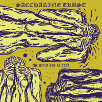 Image 3 of SACCHARINE TRUST - The Great One Is Dead / Album Companion → chapbook + 2xLP