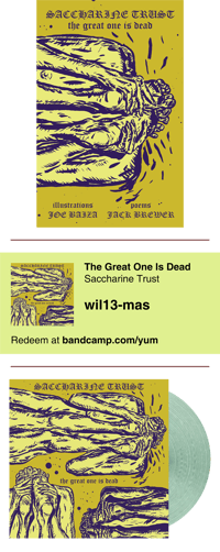 Image 1 of SACCHARINE TRUST - The Great One Is Dead / Album Companion → chapbook + 2xLP