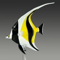 Image 1 of Moorish Idol