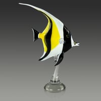 Image 2 of Moorish Idol