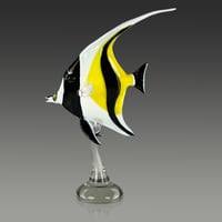 Image 3 of Moorish Idol