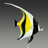 Image 4 of Moorish Idol