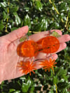 Star Oranges Earrings 