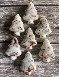 Nordic Cedar Tree Wax Melts 