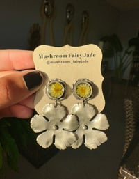 Yellow Daisy Flower 