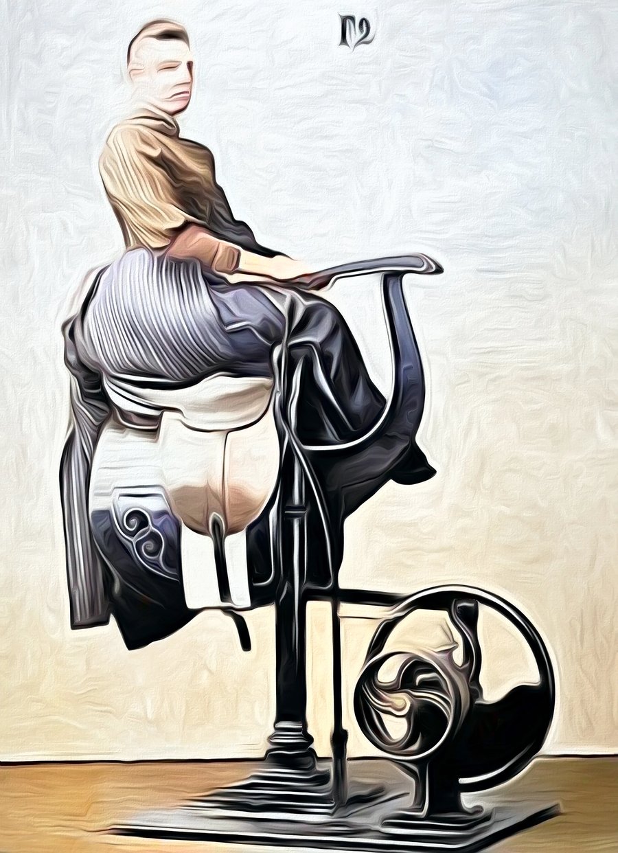 Image of Gymnasium-Horse