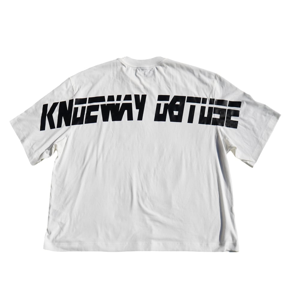 Image of Dismantle The System Boxy Crop T