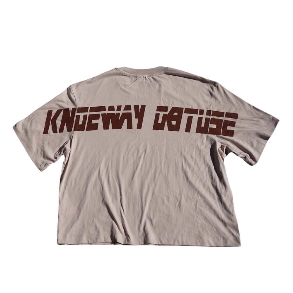 Image of Dismantle The System Boxy Crop T