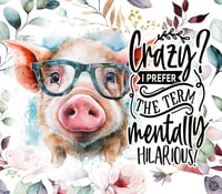 Image 1 of Mentally Hilarious