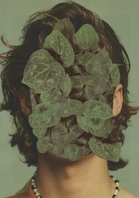 Gardener
