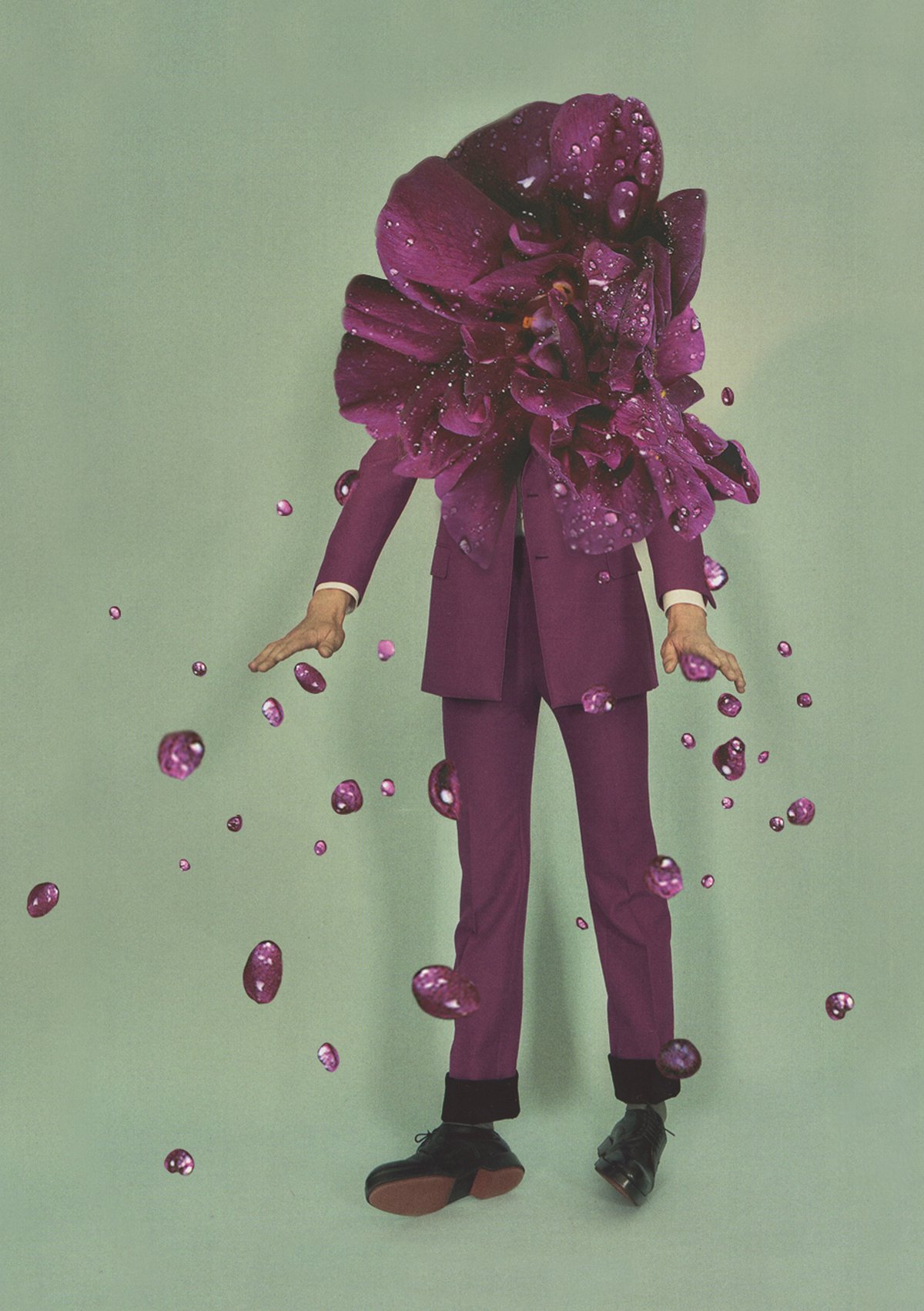 Image of Purple Rain