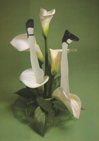 Head over Heels pt. 2