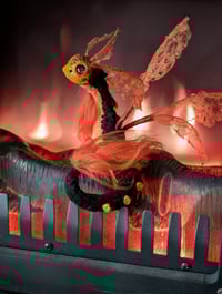 Image 1 of Emberwing