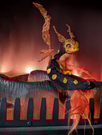 Image 2 of Emberwing