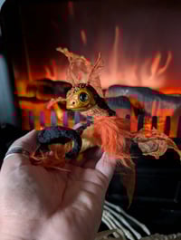 Image 4 of Emberwing