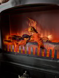 Image 5 of Emberwing