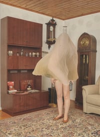 Houseguest