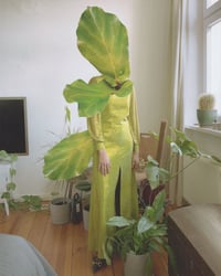Houseplant