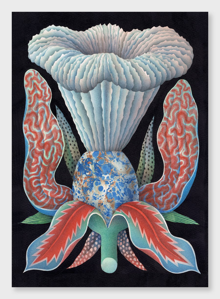 Image of Coral Flower 50 x 70