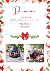 Image 4 of Christmas Packages 2024