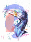 Great black cormorant- A4 or A5 print on 270gsm paper