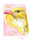 Golden oriole print- A4 or A5 on 250gsm paper