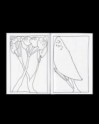 Image 2 of La fascinación por las formas de la naturaleza fanzine