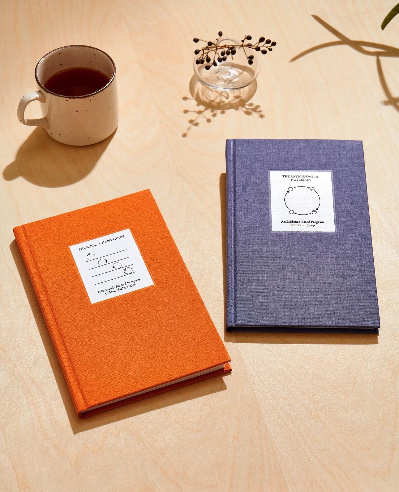 Image of The Build-A-Habit Guide