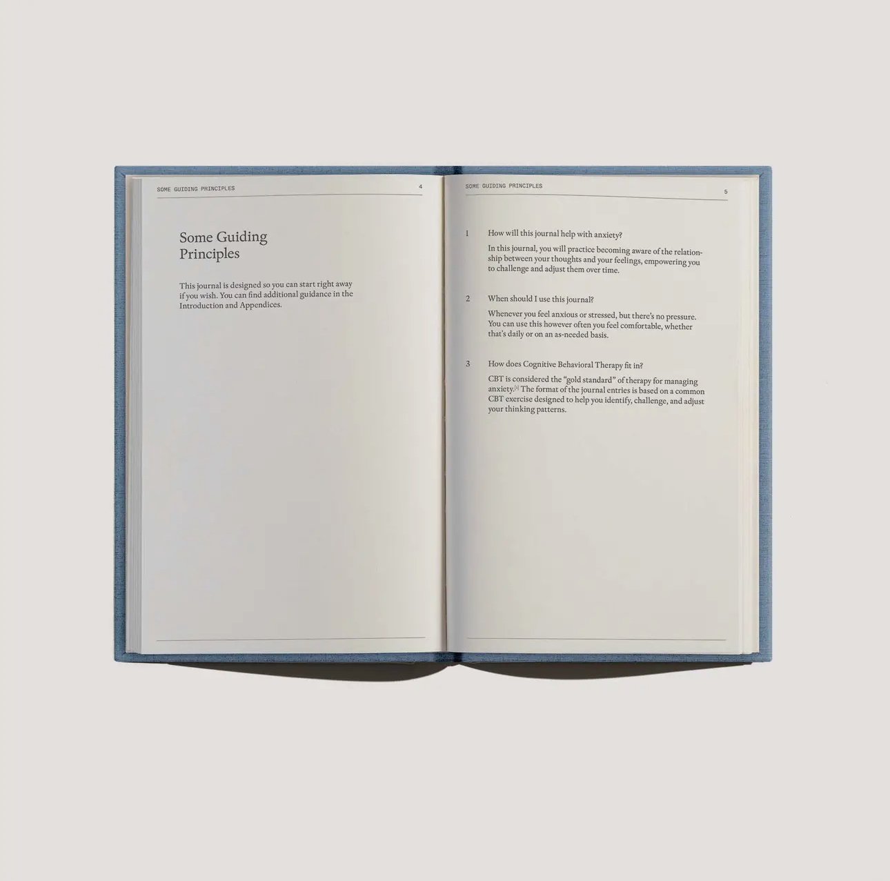 Image of The Anti-Anxiety Notebook