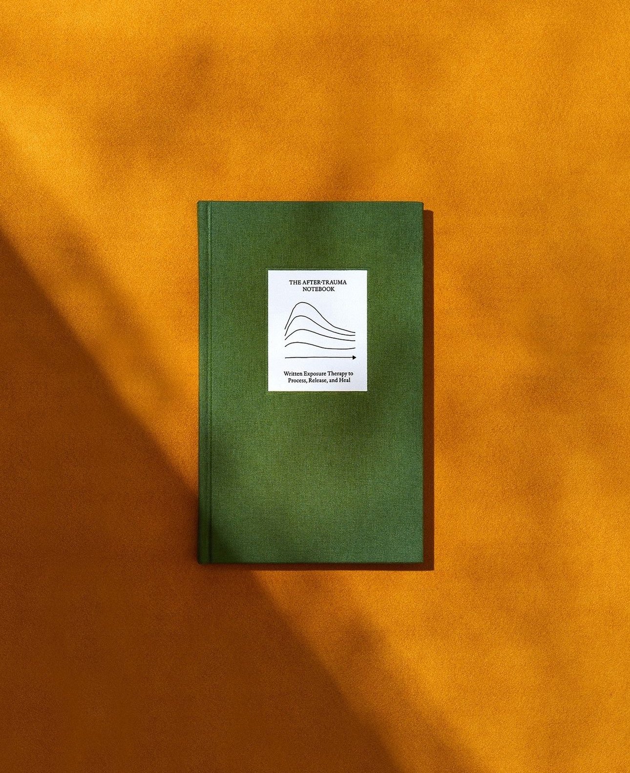 Image of The After-Trauma Notebook