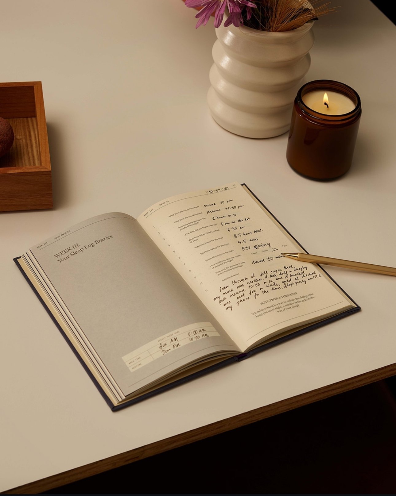 Image of The Anti-Insomnia Notebook