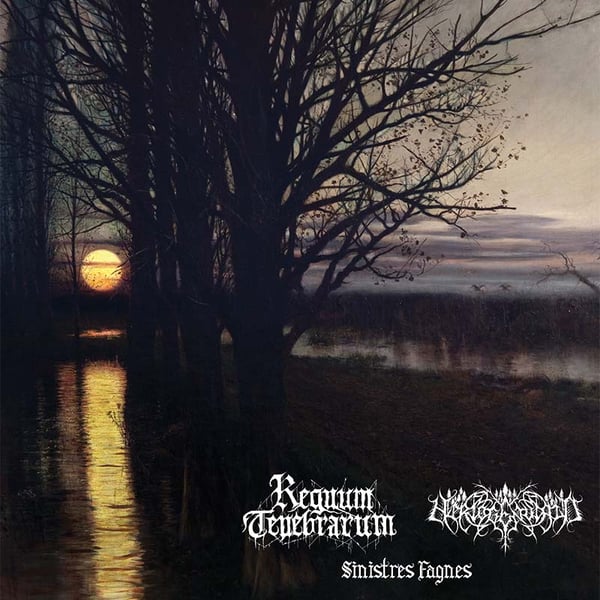 Image of Regnum Tenebrarum / Hertogenwald "Sinistres Fagnes" Split LP *IMPORT*