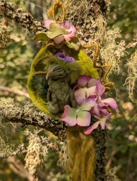 Image 5 of Oakleaf Fae - Summer Form
